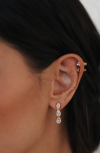 Amanda Judge - Untamed Petals Baha ~ Earrings #1 Silver thumbnail