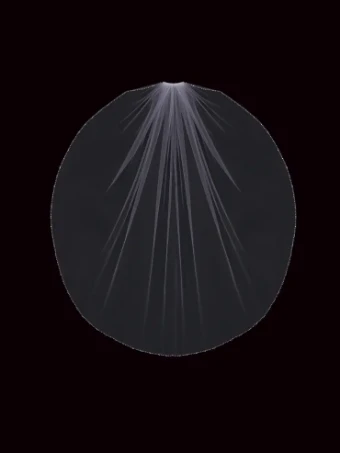 EnVogue Bridal V2190SF (enVouge Veil) Fingertip #3 default Ivory thumbnail